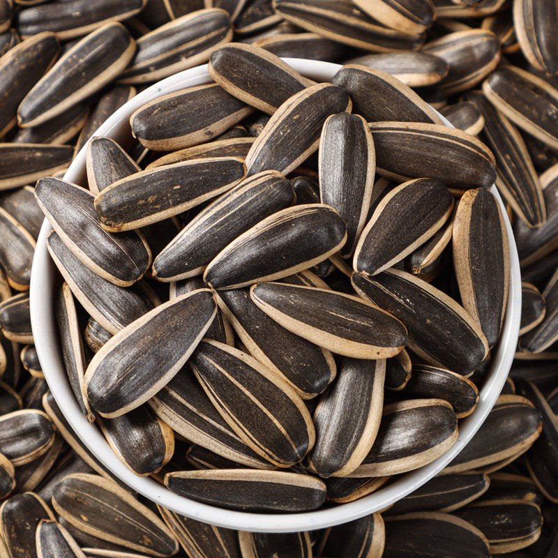 361 Sunflower Seeds